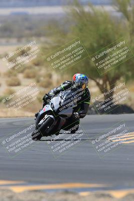 media/May-14-2023-SoCal Trackdays (Sun) [[024eb53b40]]/Turn 5 Tree of Life (1125am)/